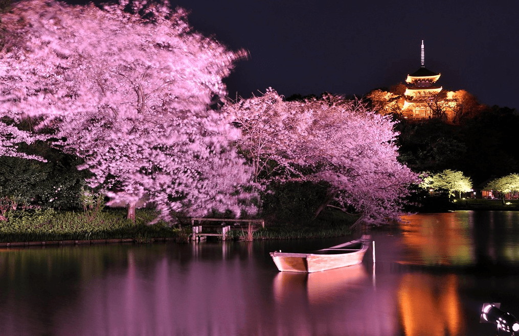 Taman Senkeien musim Sakura