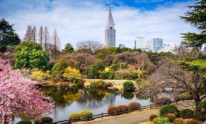 Shinjuku Gyoen, Spot Terbaik untuk Melihat Indahnya Sakura di Jepang
