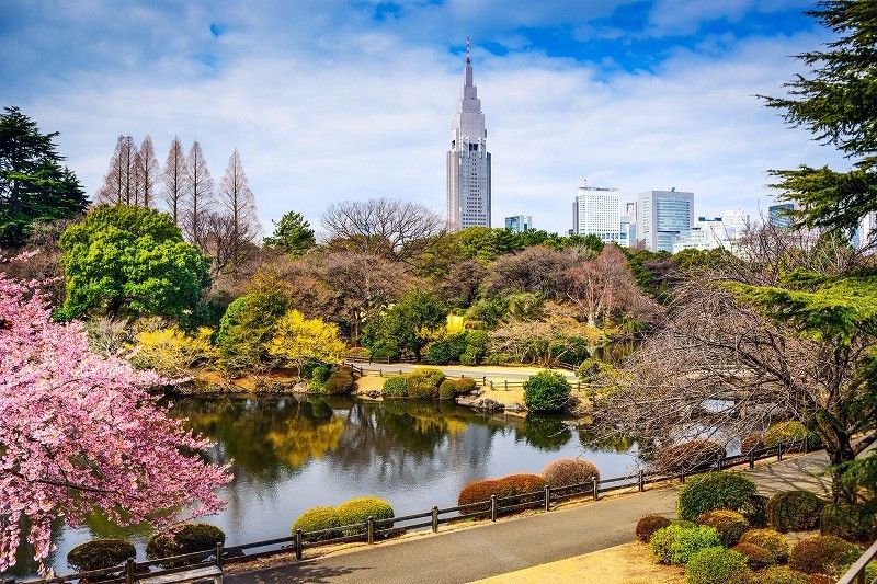 Shinjuku Gyoen, Spot Terbaik untuk Melihat Indahnya Sakura di Jepang