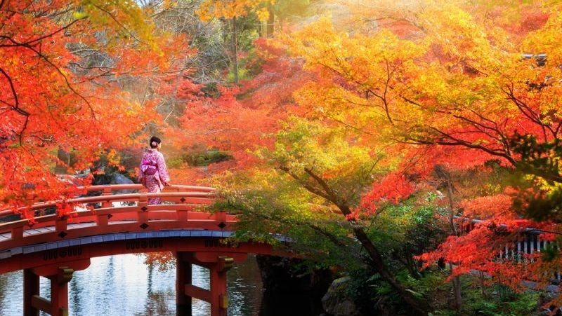 Autumn di Jepang