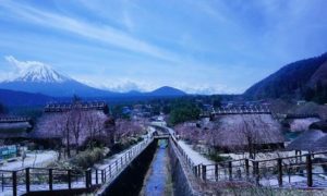 Iyashi No Sato Japan, Desa Wisata di Kaki Gunung Fuji