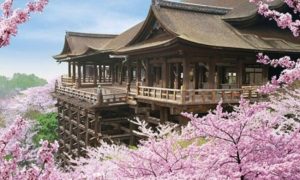 Kiyomizudera Sakura