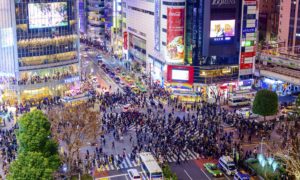 Shibuya Crossing at Night