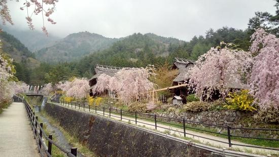 iyashi no sato spring