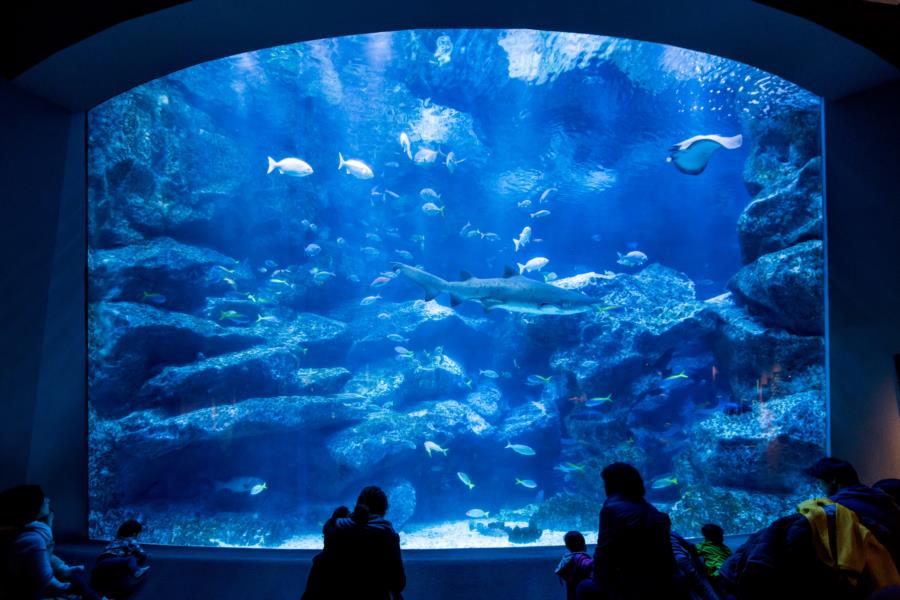 Sumida Aquarium di Solamachi