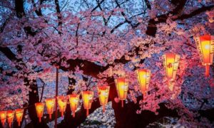 Paket Tour Ke Jepang 4 Hari 3 Malam April / Musim Semi (Spring) 2018