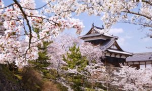 Paket Tour Ke Jepang 3 Hari 2 Malam April Musim Semi (Spring)