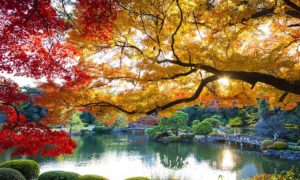 Paket Tour Ke Jepang 3 Hari 2 Malam September Musim Gugur (Autumn) 2018