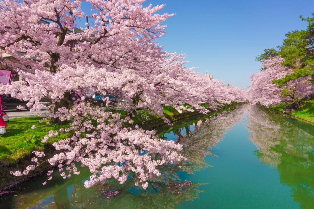 paket-wisata-tour-ke-jepang-6-hari-5-malam-april-musim-semi-spring