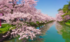 Paket Wisata Tour ke Jepang 6 Hari 5 Malam April Musim Semi (Spring) 2019
