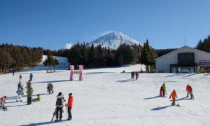 Fujiten Snow Resort, Wisata Musim Dingin di Jepang