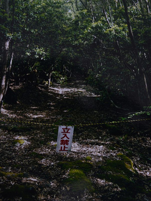 Tanda Peringatan di Hutan Aokigahara