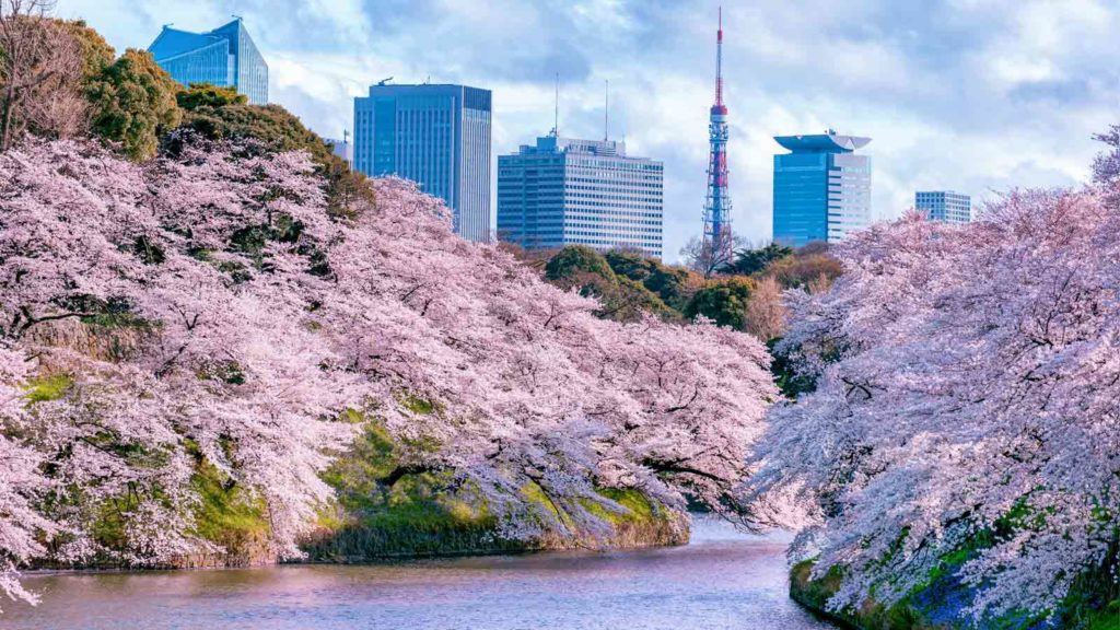 Inilah 13 Rekomendasi Tempat Wisata Terbaik Di Jepang Untuk Melihat ...