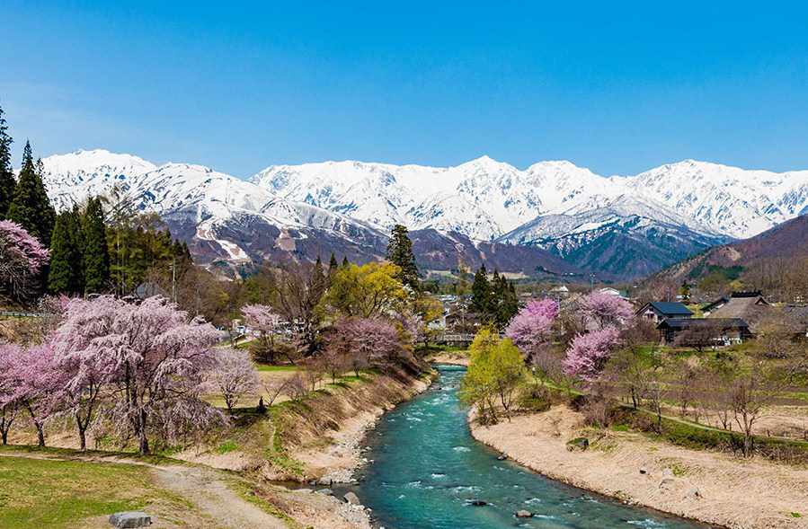 Alasan Kenapa Liburan Musim Semi Harus Ke Nagano dan Niigata