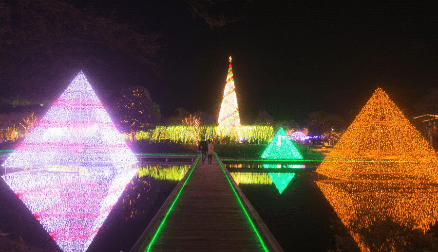 Iluminasi Taman Bunga Ashikaga