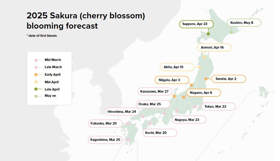 Ramalan Bunga Sakura 2025