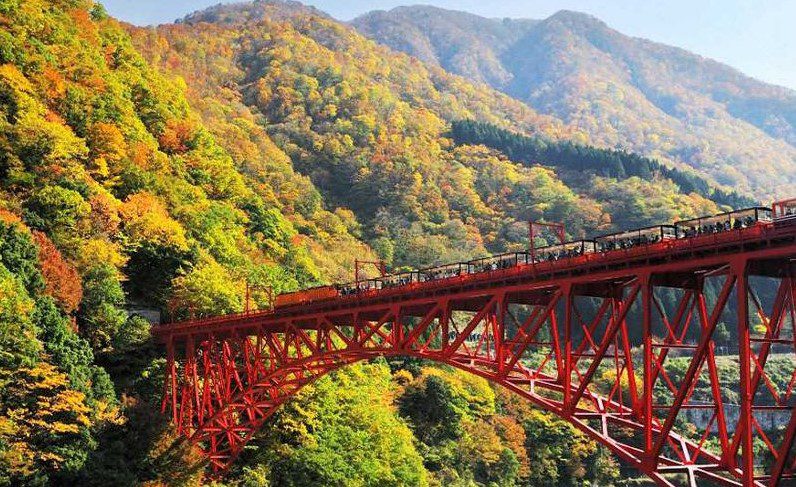 Jelajahi Keindahan Jepang dengan Kurobe Gorge Railway, Foto jrailpass.com