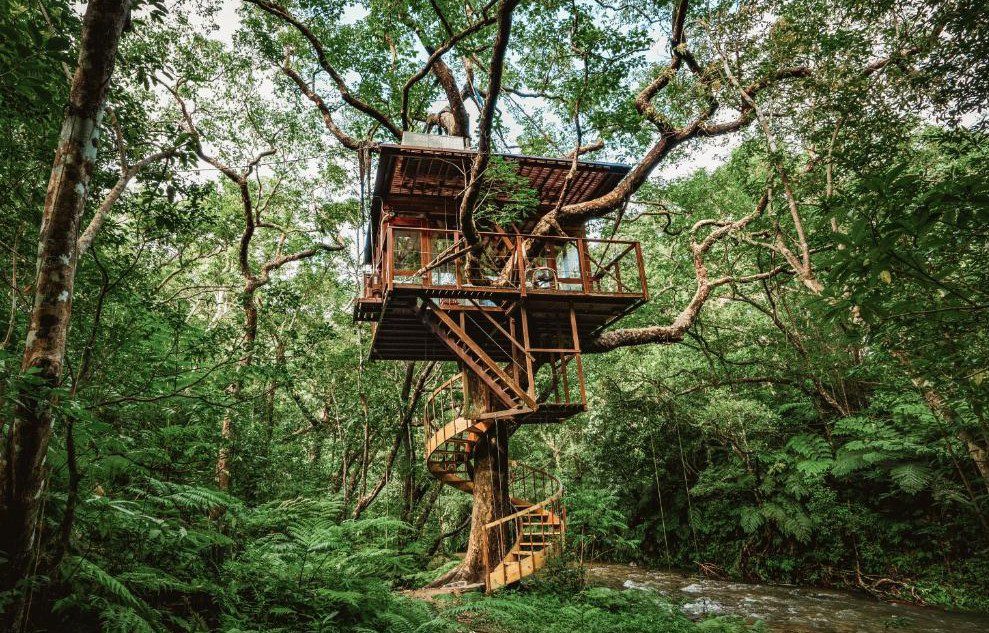 Menjelajahi Treeful Treehouse Sustainable Resort di Okinawa Yanbaru National Park, Foto cf.bstatic.com