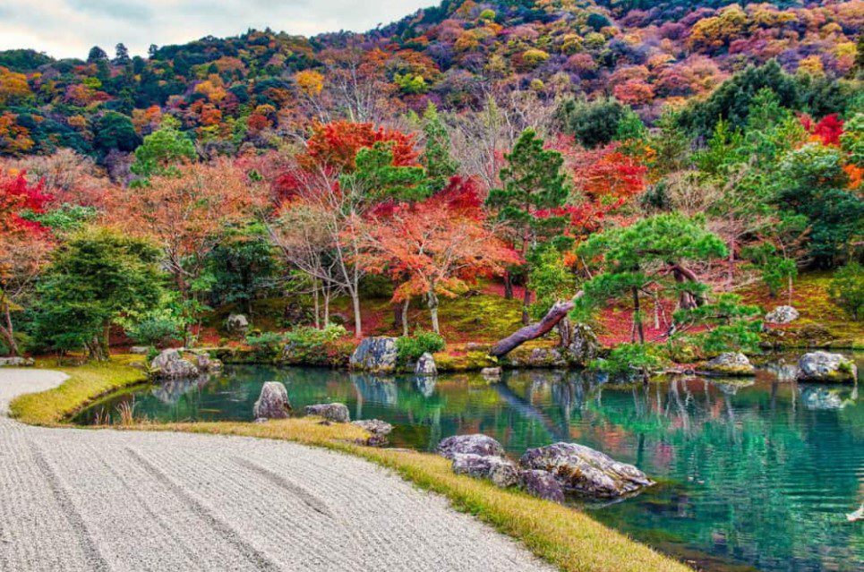 Paket Tour Ke Jepang 8 Hari 7 Malam November Musim Gugur (Autumn)