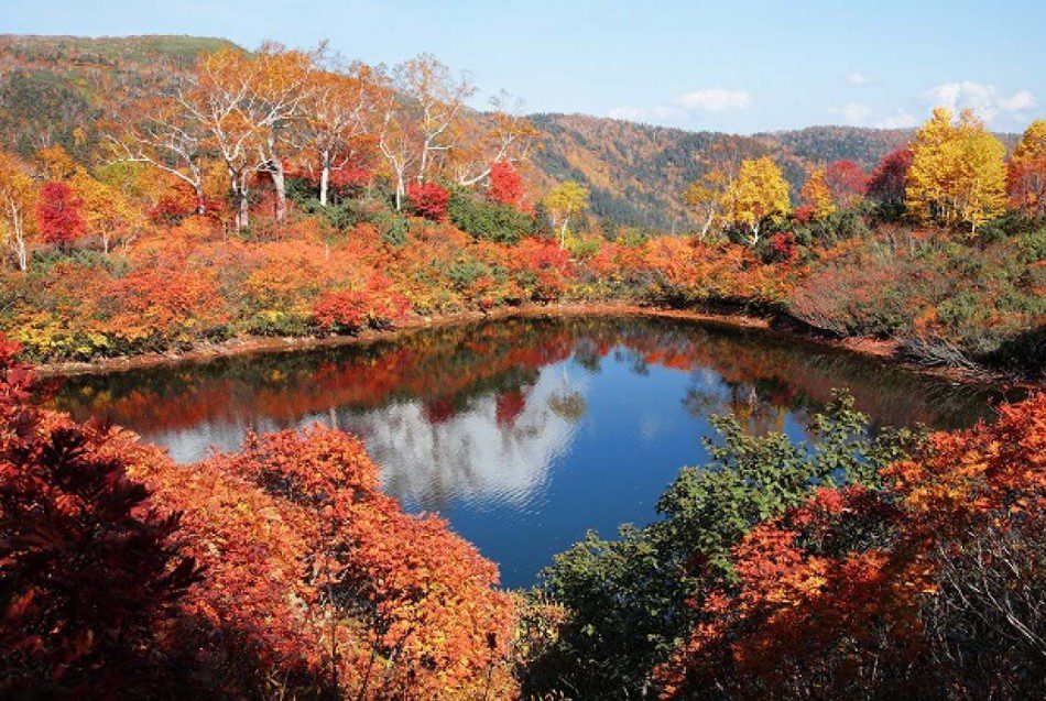 Paket Tour Ke Jepang 8 Hari 7 Malam Oktober Musim Gugur (Autumn)